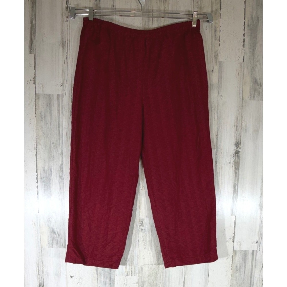 Eileen Fisher Dark Red Silk Linen Pants Large Elastic Waist Relaxed Straight Leg